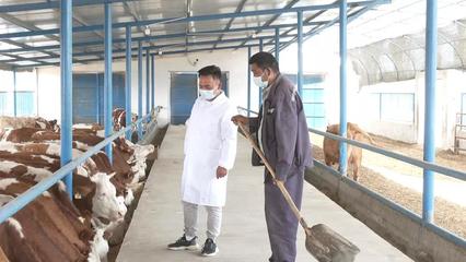 沙雅县 发展畜牧养殖产业，助力群众增收致富