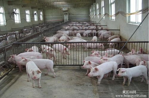 2018年新规实施 农村养殖户面临资格调整与环保处罚