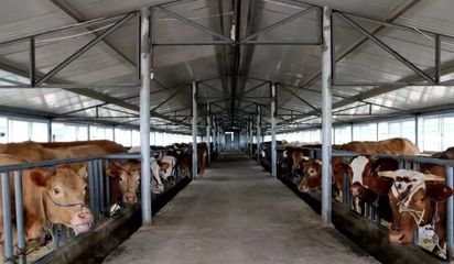 农业部强化行业标杆管理，取消170个畜禽养殖标准化示范场资格